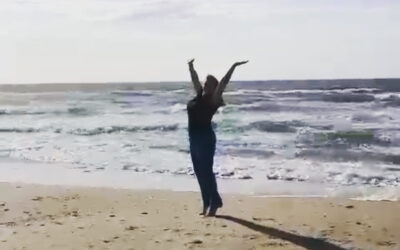 Stemmingswisselingen