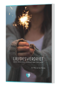 liefdesverdriet zeven bijzondere ontmoetingen met jezelf - Petra van der Heiden